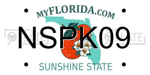 NSPK09 Florida License Plate