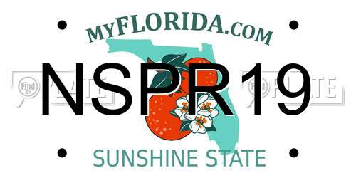 NSPR19 Florida License Plate