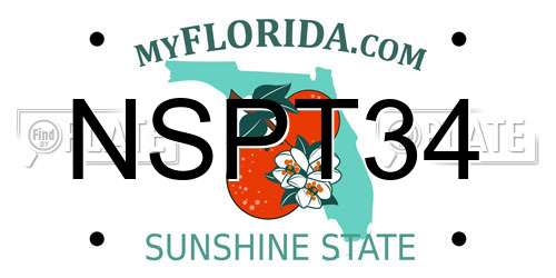 NSPT34 Florida License Plate
