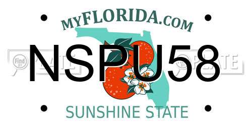 NSPU58 Florida License Plate