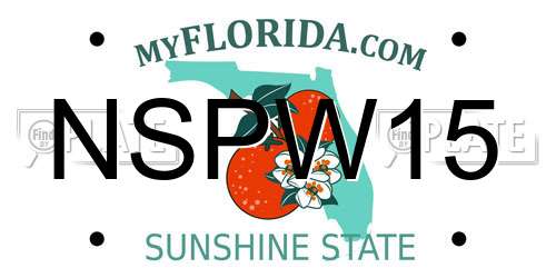 NSPW15 Florida License Plate