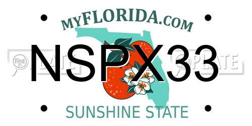 NSPX33 Florida License Plate