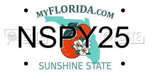 NSPY25 Florida License Plate