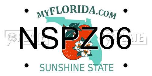 NSPZ66 Florida License Plate
