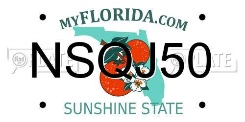 NSQJ50 Florida License Plate