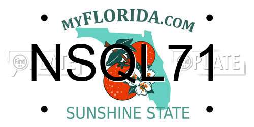 NSQL71 Florida License Plate