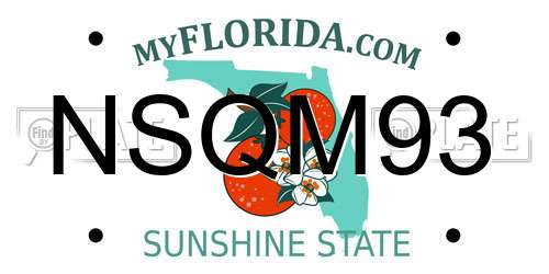 NSQM93 Florida License Plate