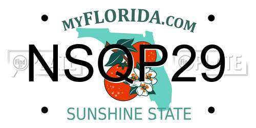 NSQP29 Florida License Plate
