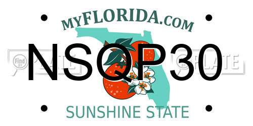 NSQP30 Florida License Plate