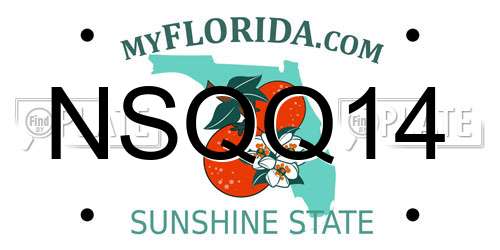 NSQQ14 Florida License Plate