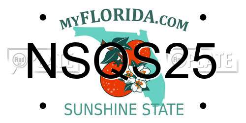 NSQS25 Florida License Plate