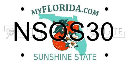NSQS30 Florida License Plate