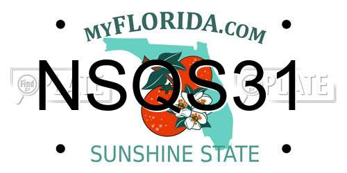 NSQS31 Florida License Plate