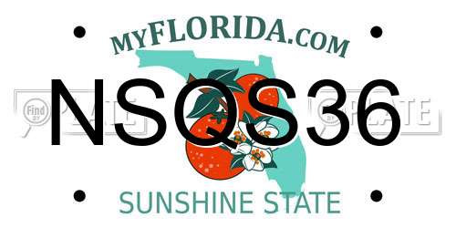 NSQS36 Florida License Plate