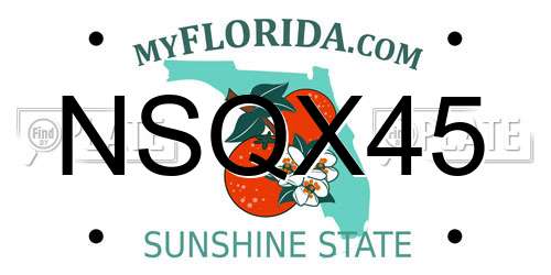 NSQX45 Florida License Plate