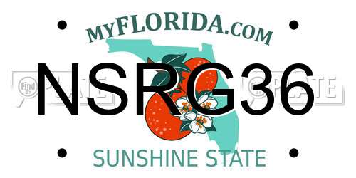 NSRG36 Florida License Plate