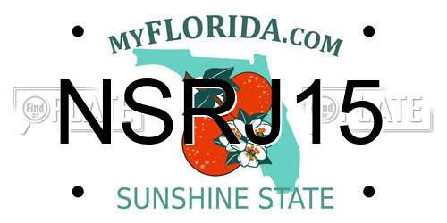 NSRJ15 Florida License Plate