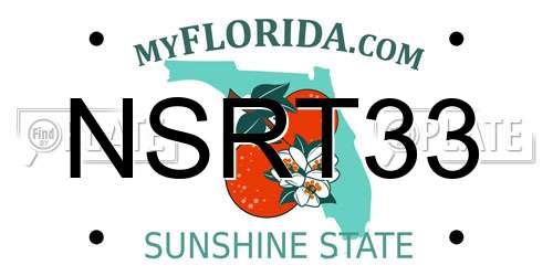 NSRT33 Florida License Plate