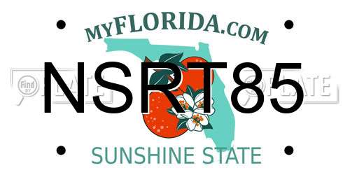 NSRT85 Florida License Plate