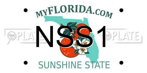 NSS1 Florida License Plate
