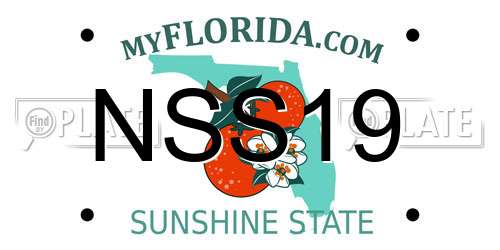 NSS19 Florida License Plate