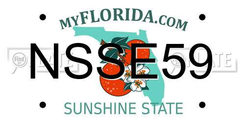 NSSE59 Florida License Plate