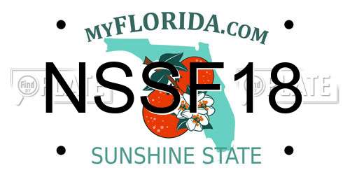 NSSF18 Florida License Plate