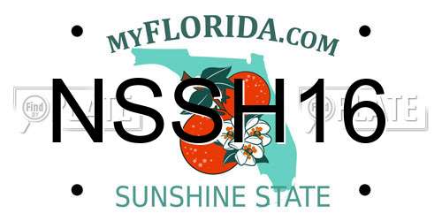 NSSH16 Florida License Plate