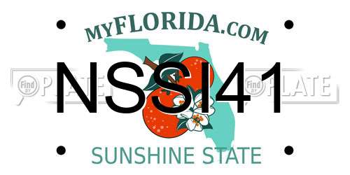 NSSI41 Florida License Plate