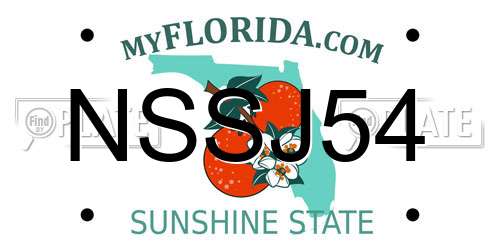 NSSJ54 Florida License Plate