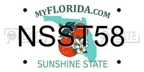 NSST58 Florida License Plate