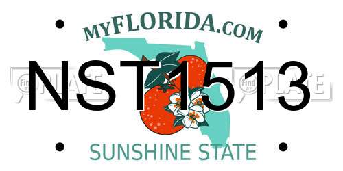 NST1513 Florida License Plate