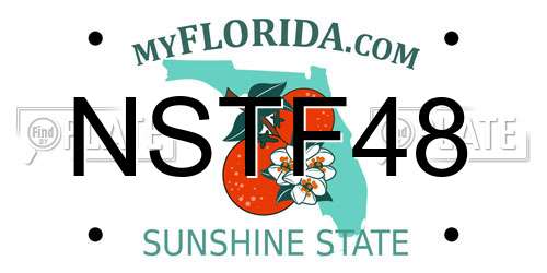 NSTF48 Florida License Plate