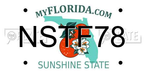 NSTF78 Florida License Plate