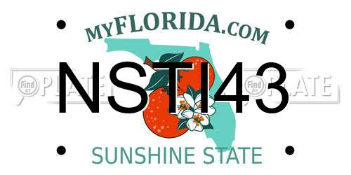 NSTI43 Florida License Plate