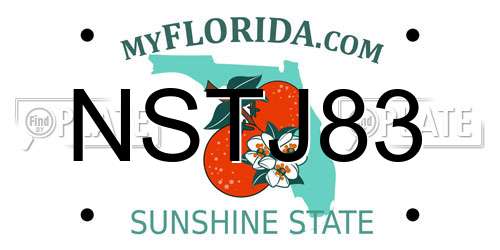 NSTJ83 Florida License Plate