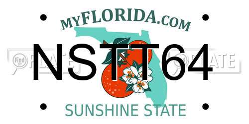 NSTT64 Florida License Plate