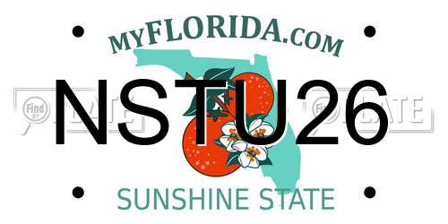 NSTU26 Florida License Plate
