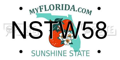 NSTW58 Florida License Plate