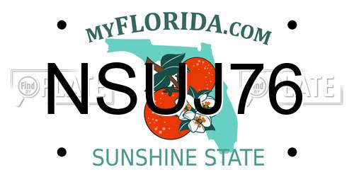 NSUJ76 Florida License Plate