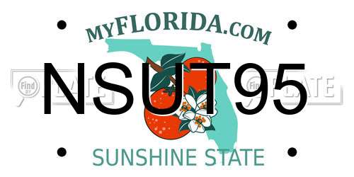 NSUT95 Florida License Plate