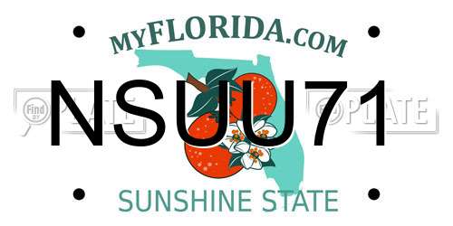 NSUU71 Florida License Plate