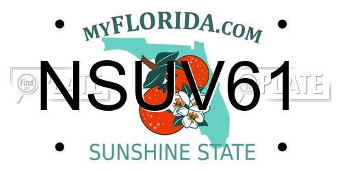 NSUV61 Florida License Plate