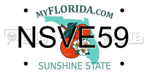NSVE59 Florida License Plate