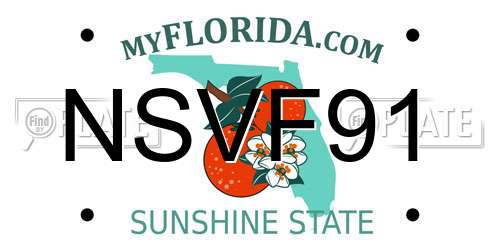 NSVF91 Florida License Plate