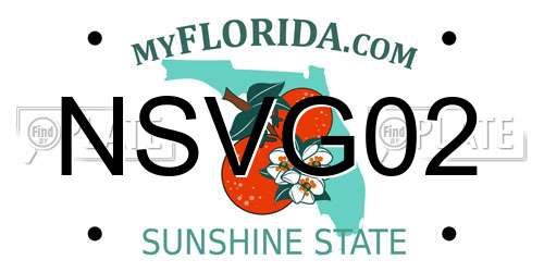 NSVG02 Florida License Plate