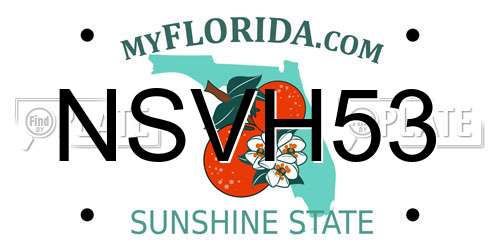 NSVH53 Florida License Plate