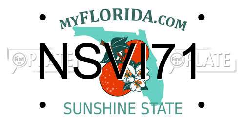 NSVI71 Florida License Plate