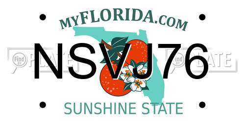 NSVJ76 Florida License Plate