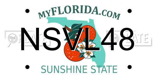 NSVL48 Florida License Plate